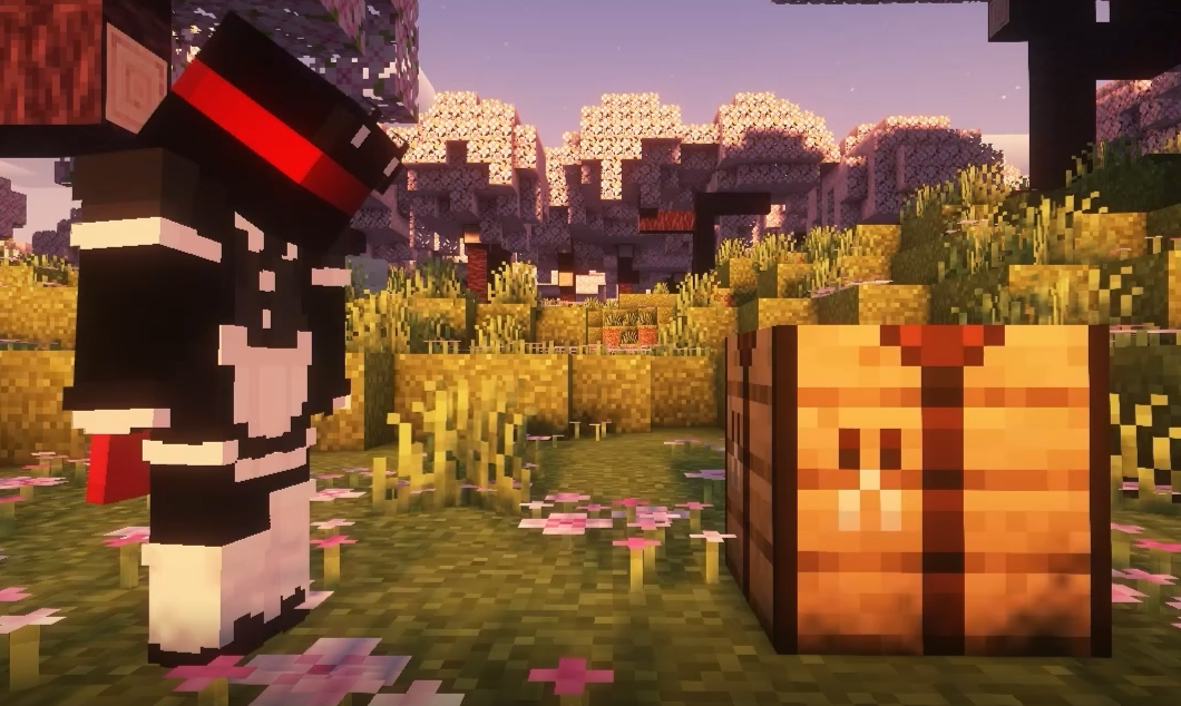 Minecraft Secret Block!